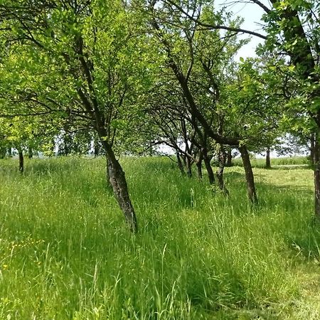 Oaza Milosci Lipinki  Bagian luar foto