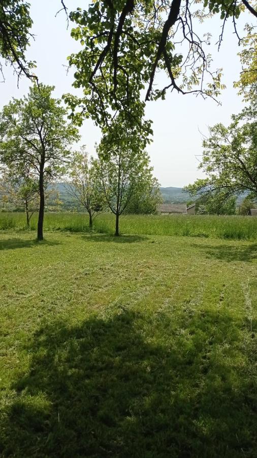 Oaza Milosci Lipinki  Bagian luar foto