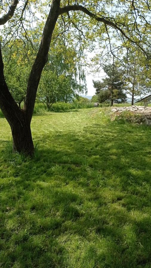 Oaza Milosci Lipinki  Bagian luar foto