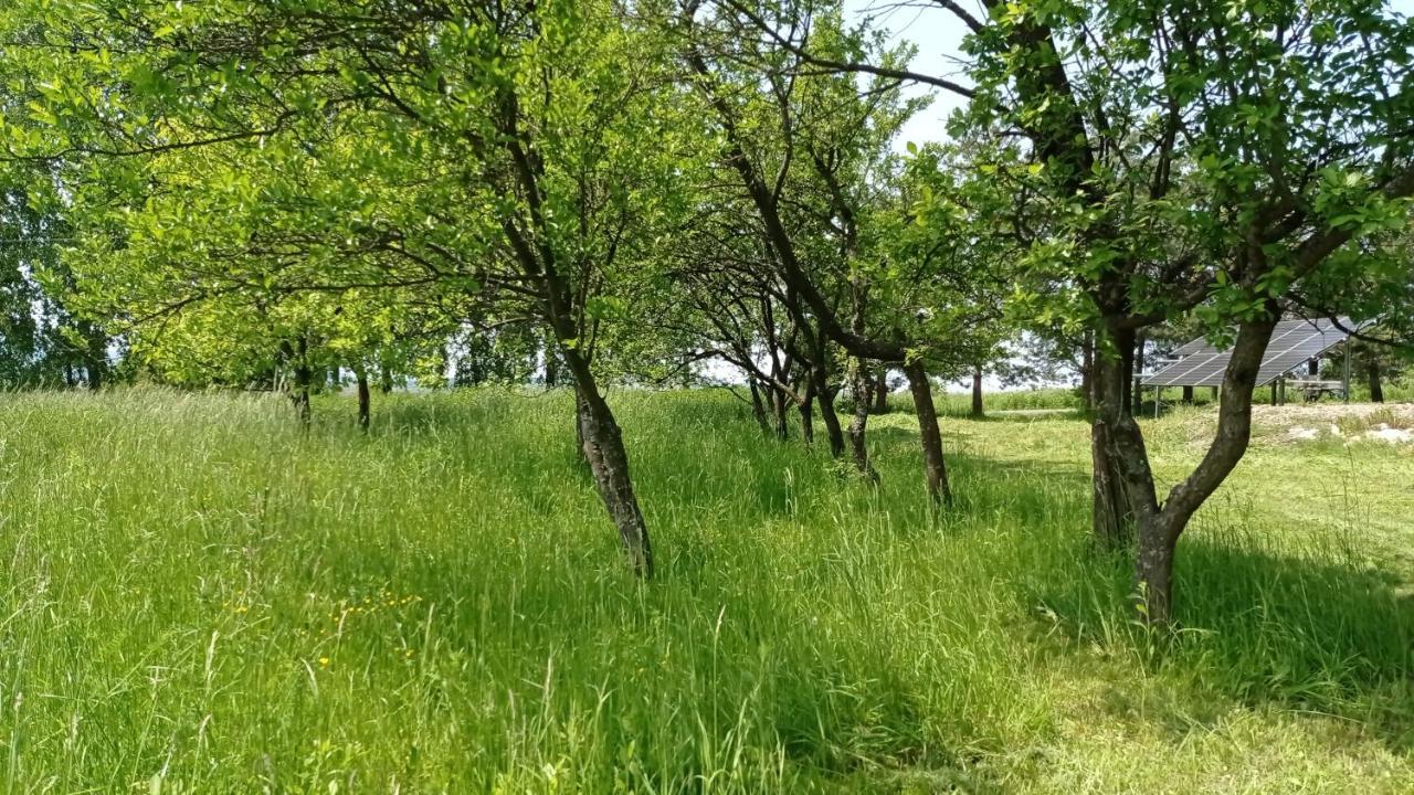 Oaza Milosci Lipinki  Bagian luar foto